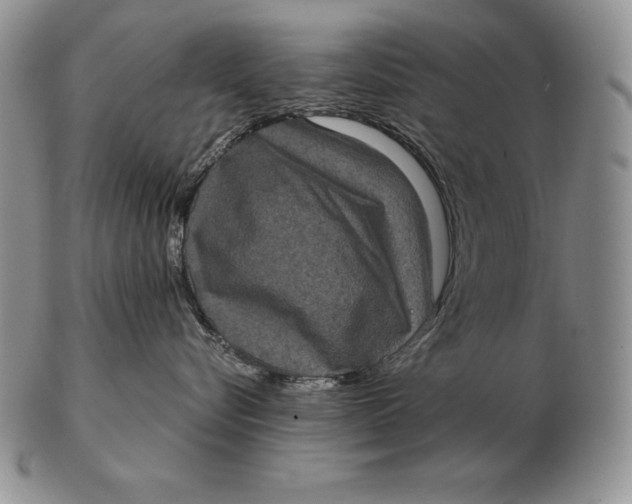X0000102400576200808221850