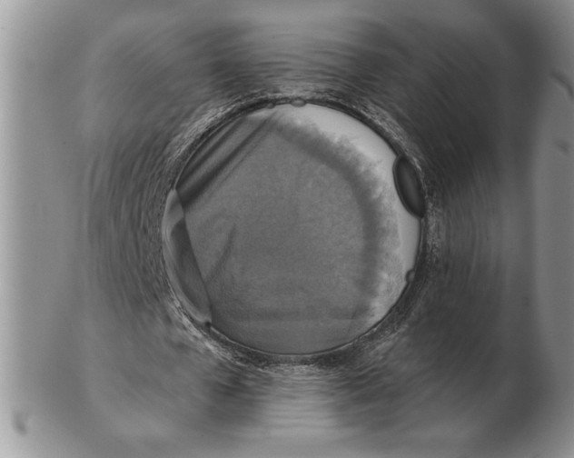X0000102400577200808221850
