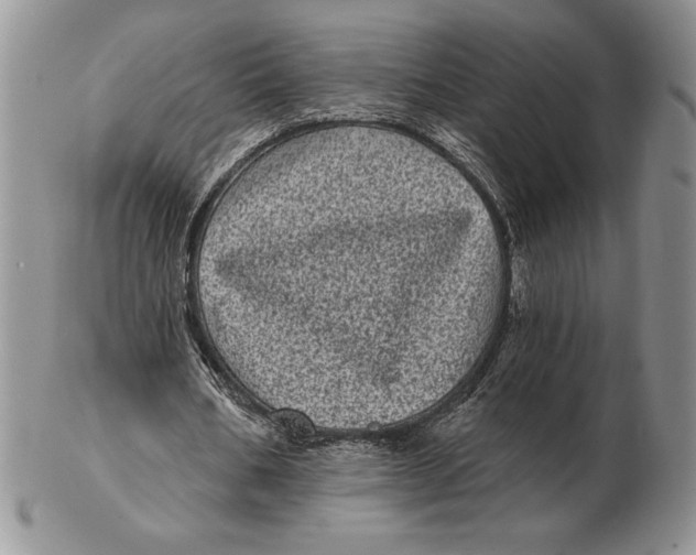 X0000102400578200808221850