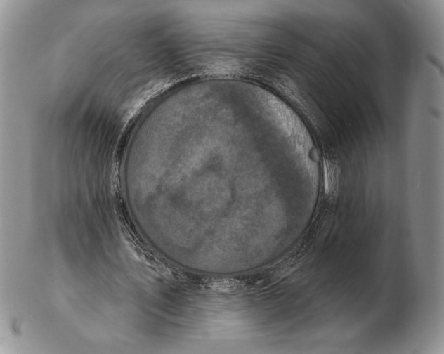 X0000102400579200808221850
