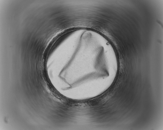 X0000102400580200808221850