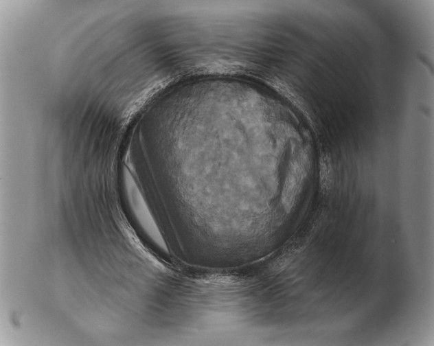 X0000102400581200808221850
