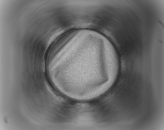 X0000102400582200808221850