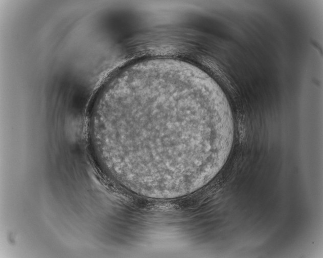 X0000102400583200808221850