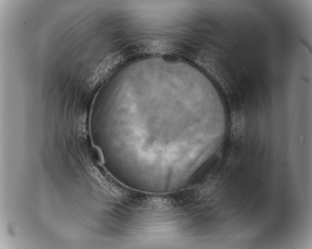 X0000102400585200808221850