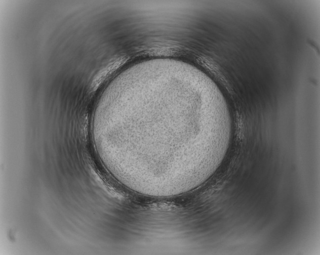 X0000102400586200808221850