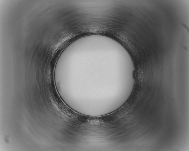 X0000102400587200808221850