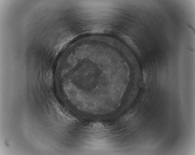 X0000102400588200808221850