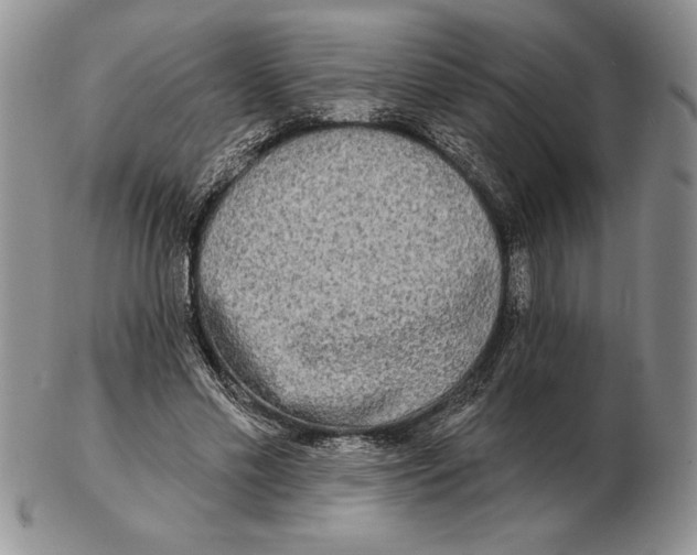 X0000102400589200808221850