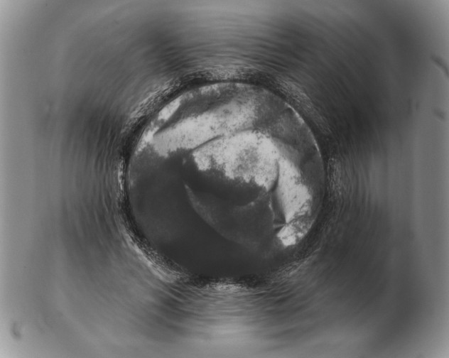X0000102400590200808221850