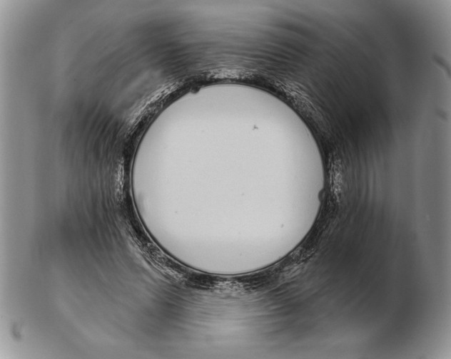 X0000102400591200808221850