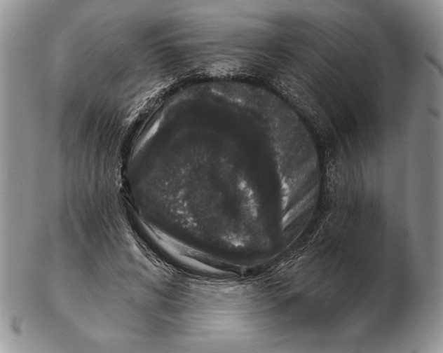 X0000102400592200808221850