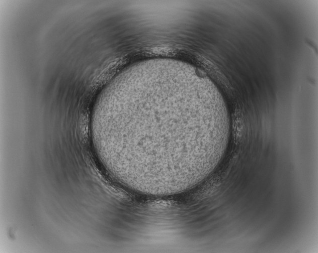 X0000102400593200808221849