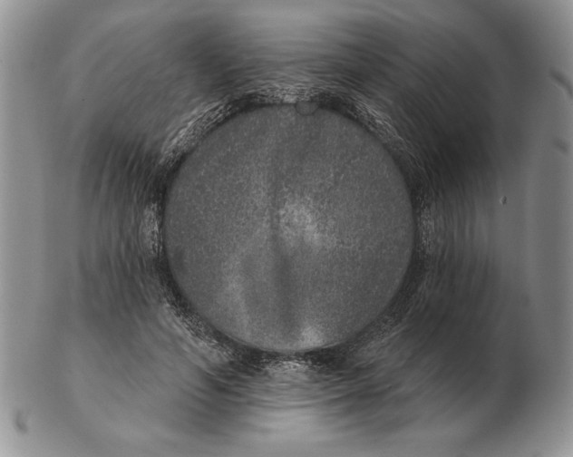 X0000102400594200808221849