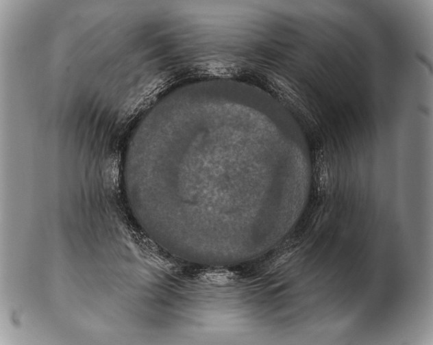X0000102400595200808221849