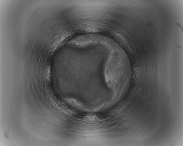 X0000102400596200808221849