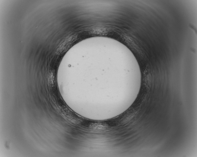 X0000102400597200808221849