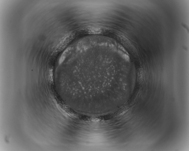 X0000102400598200808221849