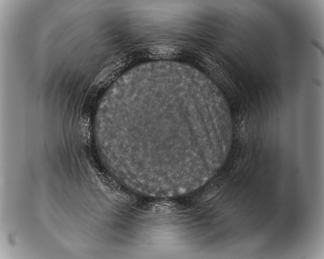 X0000102400599200808221849