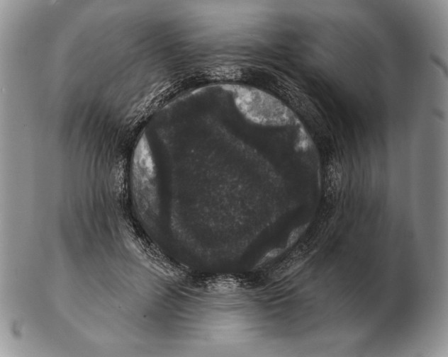 X0000102400600200808221849