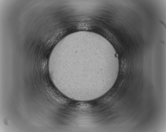 X0000102400601200808221849