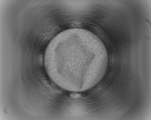 X0000102400602200808221849