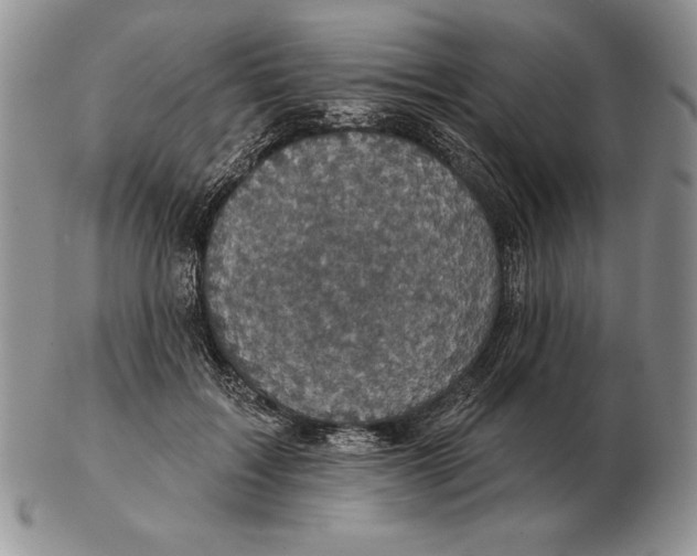 X0000102400603200808221849
