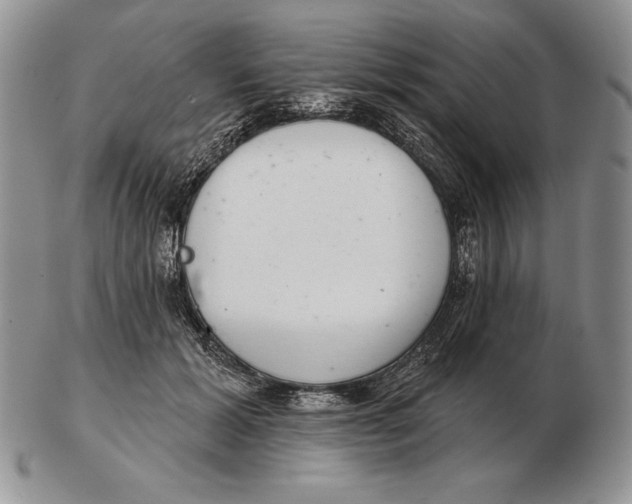 X0000102400605200808221849