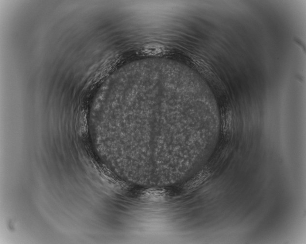 X0000102400606200808221849