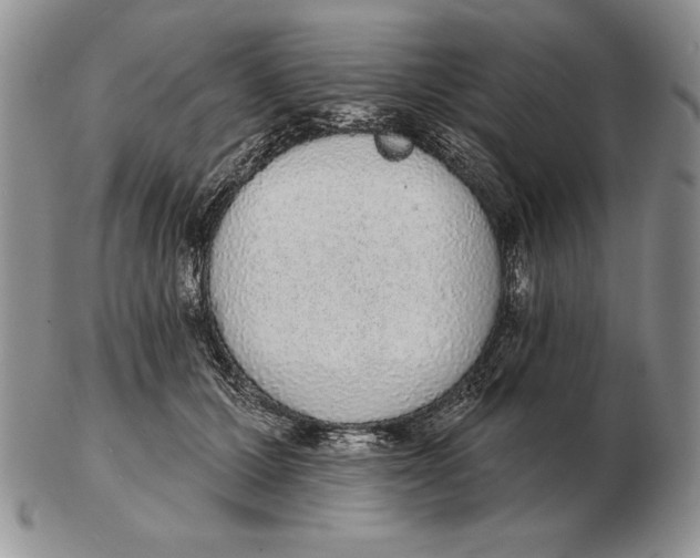 X0000102400607200808221849