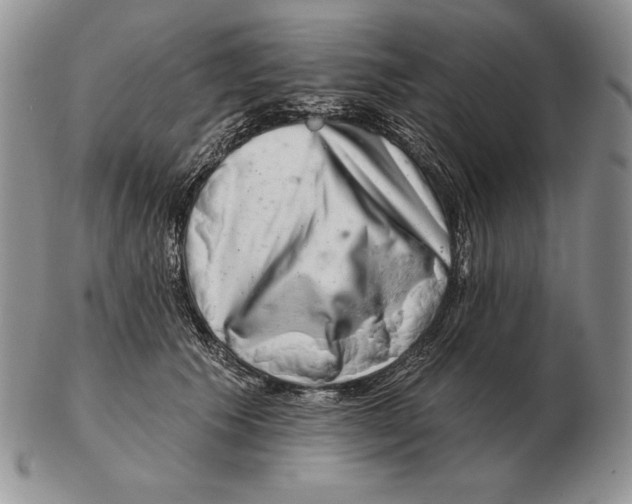 X0000102400609200808221849
