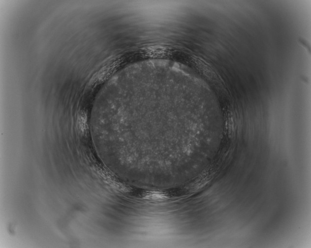 X0000102400610200808221849