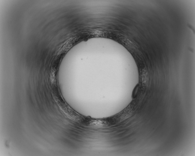 X0000102400611200808221849