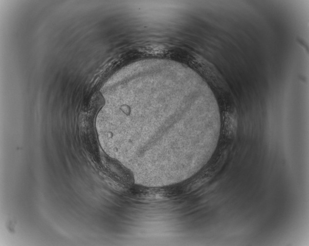 X0000102400612200808221849