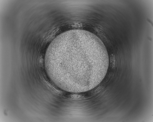 X0000102400614200808221849