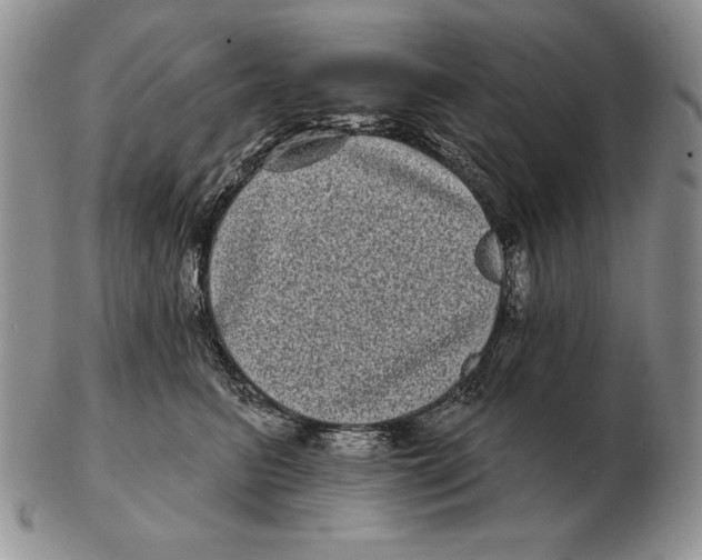 X0000102400615200808221849