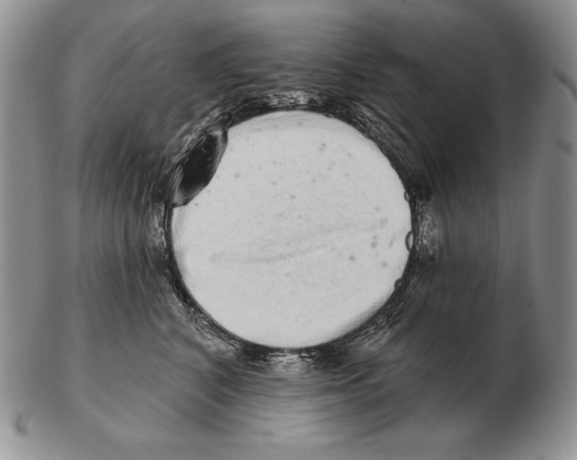 X0000102400616200808221849