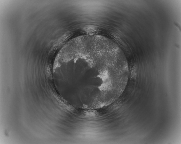 X0000102400618200808221849