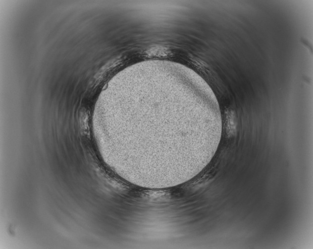 X0000102400619200808221849