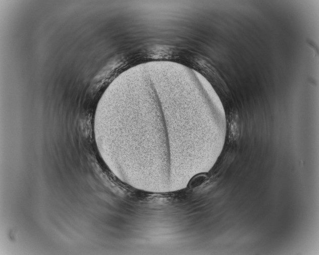 X0000102400620200808221849