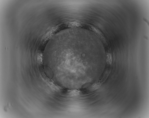 X0000102400621200808221849