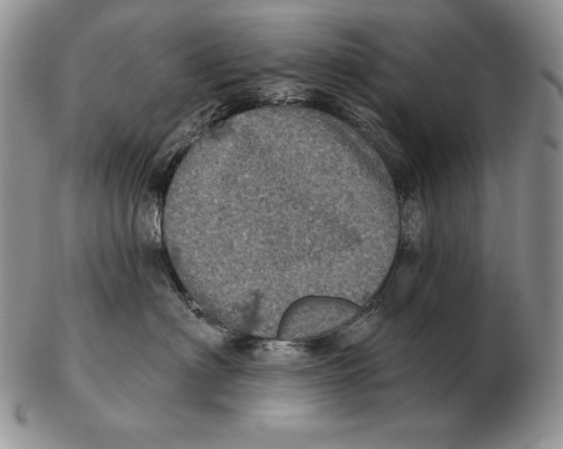 X0000102400622200808221849