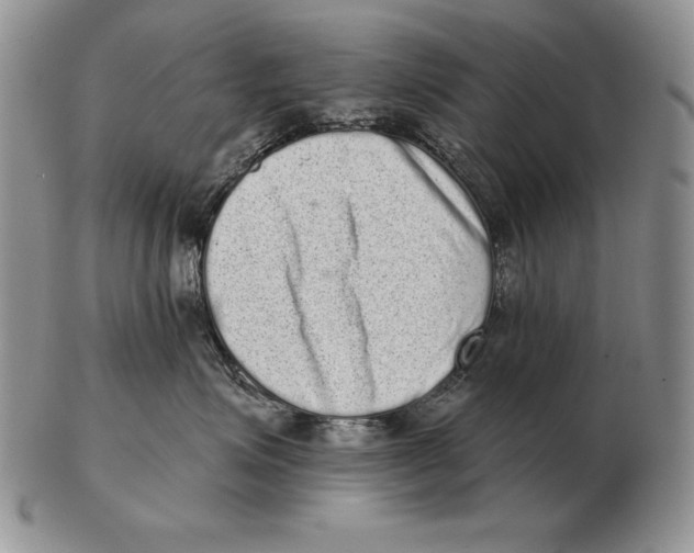 X0000102400623200808221849