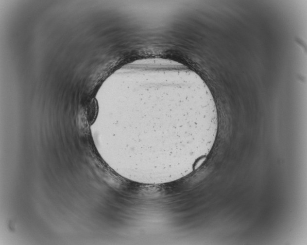 X0000102400624200808221849