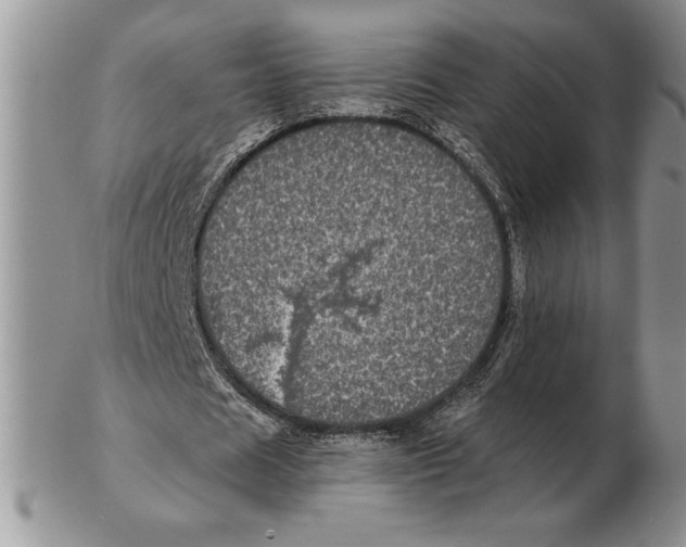 X0000102400625200808221848