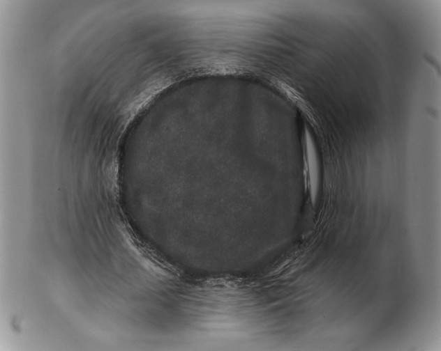 X0000102400627200808221848