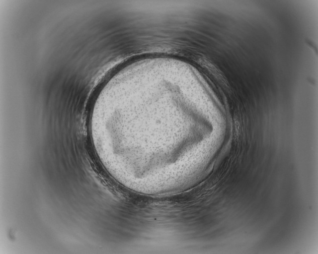 X0000102400628200808221848