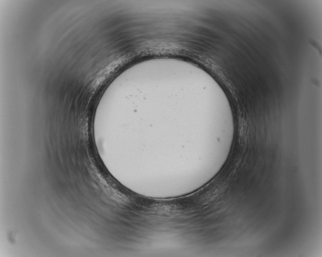 X0000102400629200808221848
