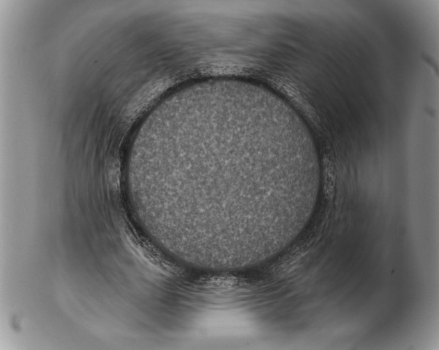 X0000102400631200808221848