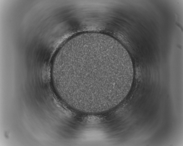 X0000102400632200808221848